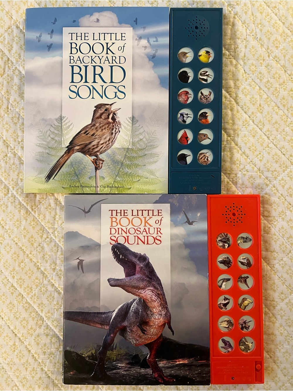 THE LITTLE BOOKS OF DINOSAUR SOUNDS & BACKYARD BIRD SONGS WITH SOUND PANELS EUC